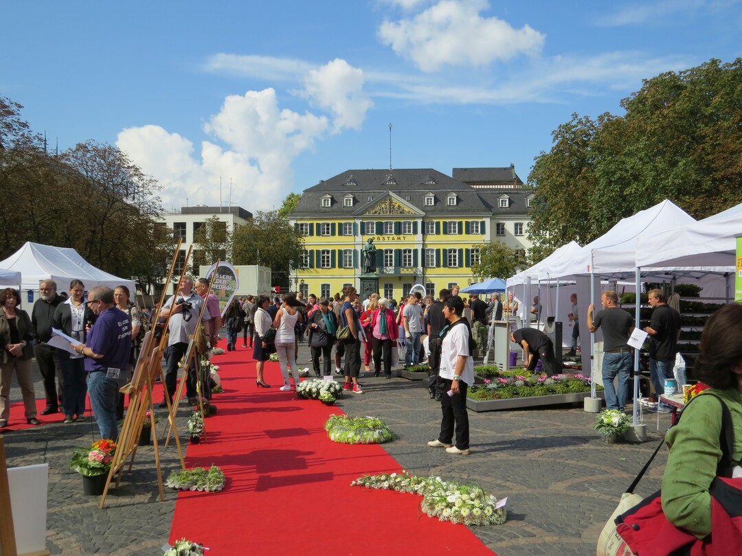 Tag des Friedhofs in Bonn 2014