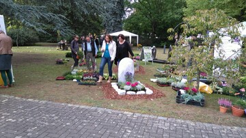 Beim Tag des Friedhofs 2015 in Hanau wurde den Besuchern abwechslungsreiche Grabgestaltung prsentiert. 