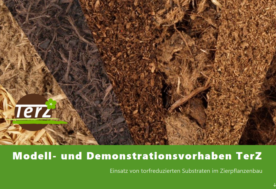 Das Projekt TerZ fördert den Praxiseinsatz torfreduzierter Substrate im Zierpflanzenbau