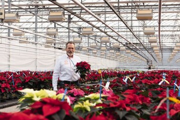 Unser Experte fr die Poinsettienkultur, Jrgen Zwiehoff, leitet durch die Woche 