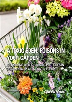 "Giftiger Garten Eden" - lautet das Überschriftsfazit der Greenpeace-Studie zu Rückständen bienengefährlicher Pflanzenschutzmittel auf Zierpflanzen.