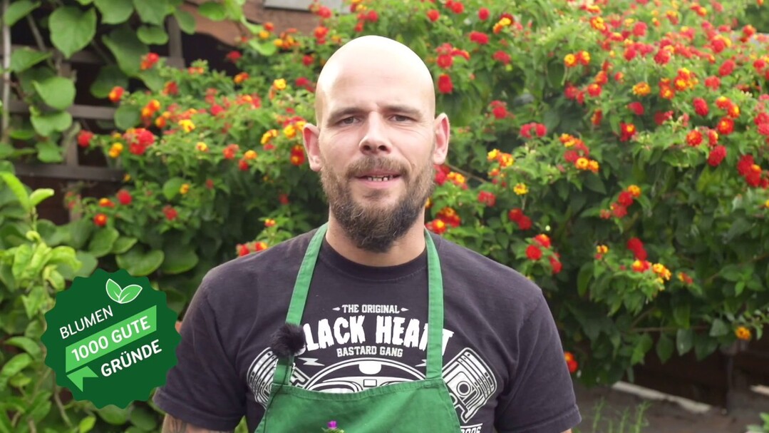 Unter dem Motto „Tristan rockt“ macht der Gärtner der Kampagne „1000 gute Gründe“ Werbung für die grünen Berufe. Heute spricht er vor SchülerInnen der Klassen 8 bis 10.