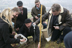 Beim Pflanzen der Trüffelbäume am Thüngersheimer Scharlachberg halfen (von links) auch die Fränkische Weinkönigin Marion Wunderlich, Ludger Sproll von der Baumschule Deutsche Trüffelbäume, der Präsident des Fränkischen Weinbauverbandes Arthur Steinmann, Dr. Herrmann Kolesch von der LWG, Ulrich Stobbe von der Baumschule Deutsche Trüffelbäume und Professor Theo Eberhard von der Hochschule München.