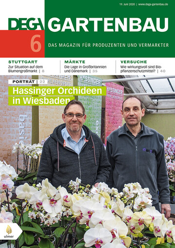 Die Brder Hans (links) und Roland Hassinger entdeckten Anfang der 1990er-Jahre ihre Liebe zu Orchideen