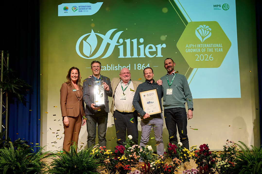 Die britische Baumschule Hillier Nurseries LTD wurde w�hrend der IPM ESSEN mit dem prestigetr�chtigen Titel "AIPH International Grower of the Year" (IGOTY) 2026 ausgezeichnet.