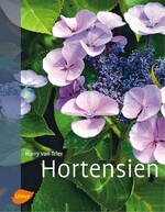 Hortensien in Hülle und Fülle