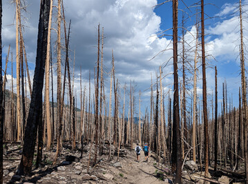 Ernteausflle, Waldbrandgefahr, weniger Strom: Die Drregefahr in Europa hat weiter zugenommen. Zu dem Ergebnis kommt der neue Monatsbericht der Gemeinsamen Forschungsstelle (GFS) der EU-Kommission.