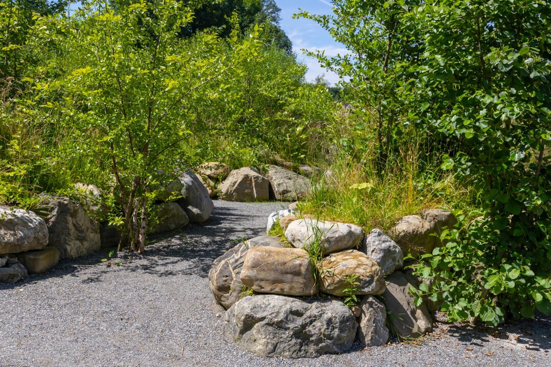 Felslandschaft