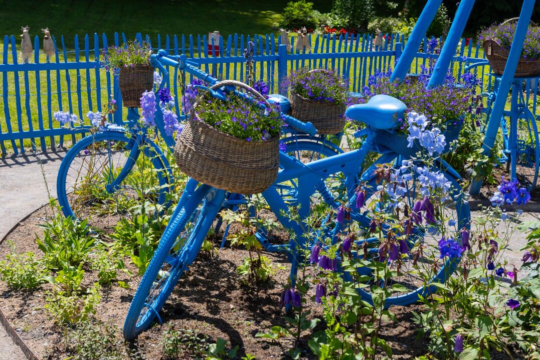 Blauer Garten