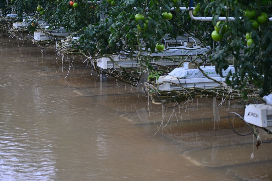 Wassermassen drangen in Gewächshäuser ein und hinterließen Schlamm und zahlreiche Schäden.