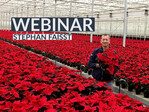Ein Webinar informiert zum Poinsettien-Sortiment von Beekenkamp und gibt Hinweise zum Weihenstephaner Modell.