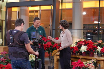 Jrg Kirstein gab vergangenen Freitag im ZDF-Morgenmagazin unter anderem praktische Pflegetipps zum richtigen Umgang mit Weihnachtssternen.