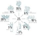 Der deutsche Gesamtmarkt für Blumen und Zierpflanzen 2023 – Umsatzanteile der Marktsegmente in Deutschland zu Einzelhandelspreisen.