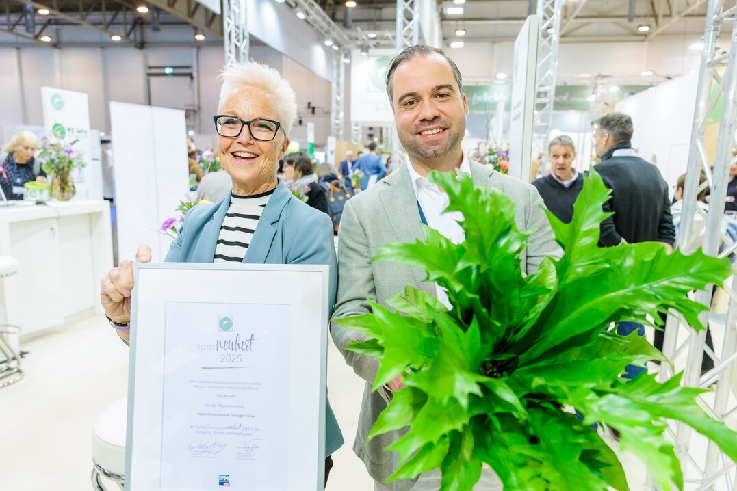 In the "Green houseplants" category, Asplenium antiquum "Yuaspgio" Gioia from Vitro Plus B.V. in Burgh-Hamsteede in the Netherlands was awarded the title "IPM Novelty 2025".