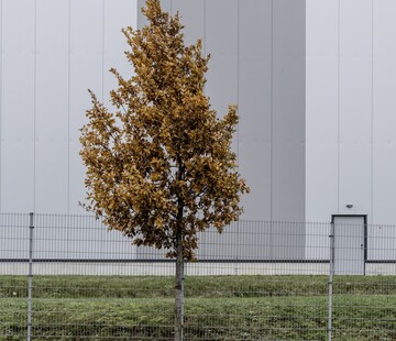 Hitze und Trockenheit gefhrden die heimischen Gehlze.