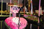 Farbenfroh bepflanzte Gondeln haben die Blumenhalle in einen bunten und fröhlichen „Karneval der Blumen“ verwandelt