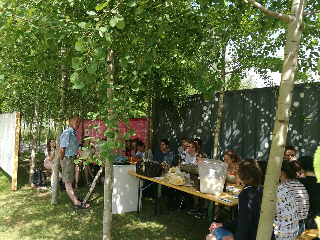 Trotz der Hitze besuchten zahlreiche Schüler den Pilze-Workshop auf der BUGA