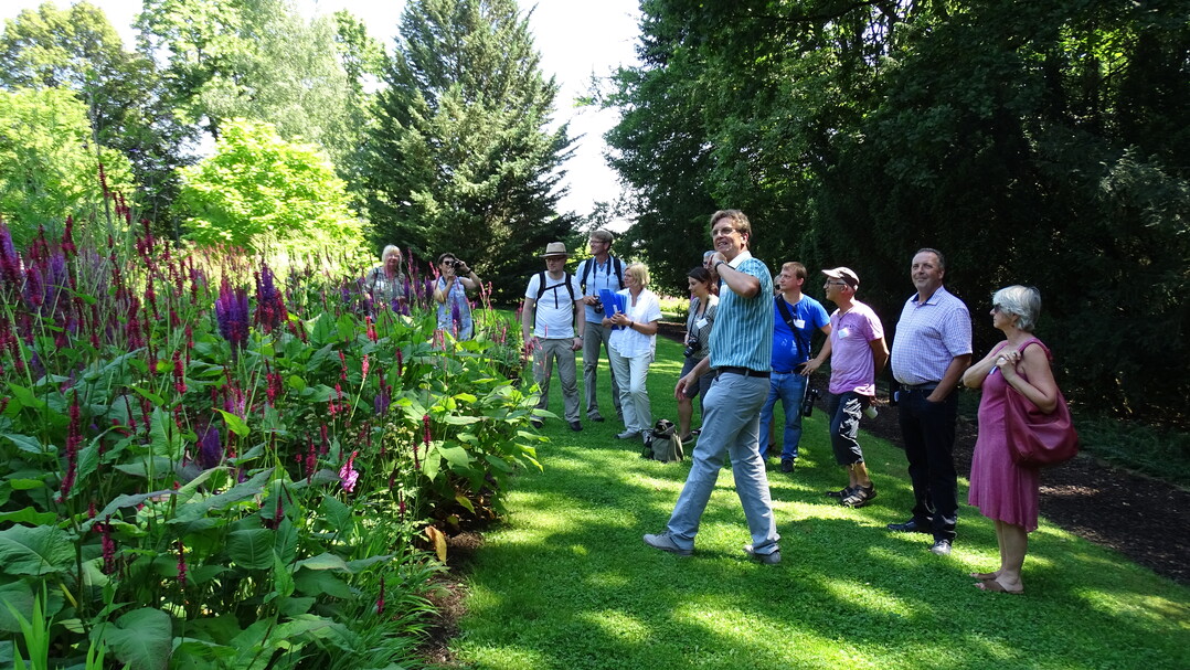 In diesem Beet wurden aus verschiedenen Sortimenten nur die besten Sorten gepflanzt. Die verschiedenen Sorten von u.a. Astrantien, Bistorta, Geranium, Sanguisorba, Aconitum, Astilben, Thalictrum und Cimicifuga bilden eine widerstandsfähige, artenreiche und optisch sehr ansprechende Pflanzung, die von Bienen, Hummeln und Schmetterlingen stark besucht wird, berichtet Prof. Hertle (vorn) den Teilnehmern.