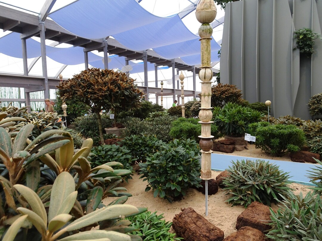 Blick auf ein beeindruckendes Sortiment der Rhododendren der Baumschule Stöckmann