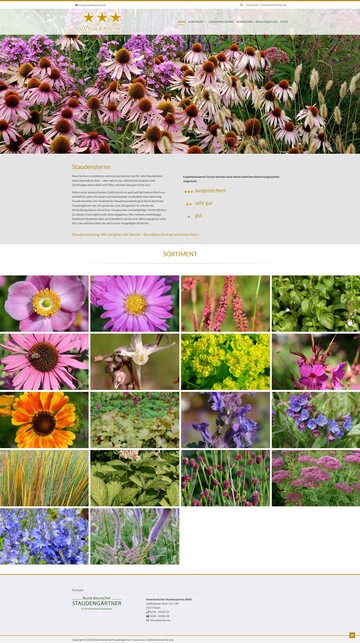 So soll die Website www.staudensterne.de aussehen.