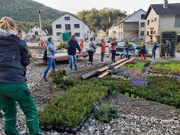 Pflanzen fr die Hochwassergebiete 