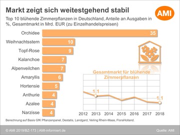 Der Zimmerpflanzenmarkt ist stabil.