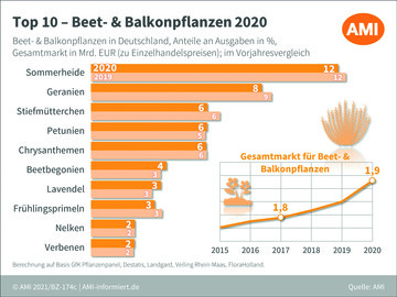  Top 10  Beet- & Balkonpflanzen 2020